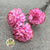 Shola (Man Made) 'Dahlia' (Various Colours) (5pcs) 60cm