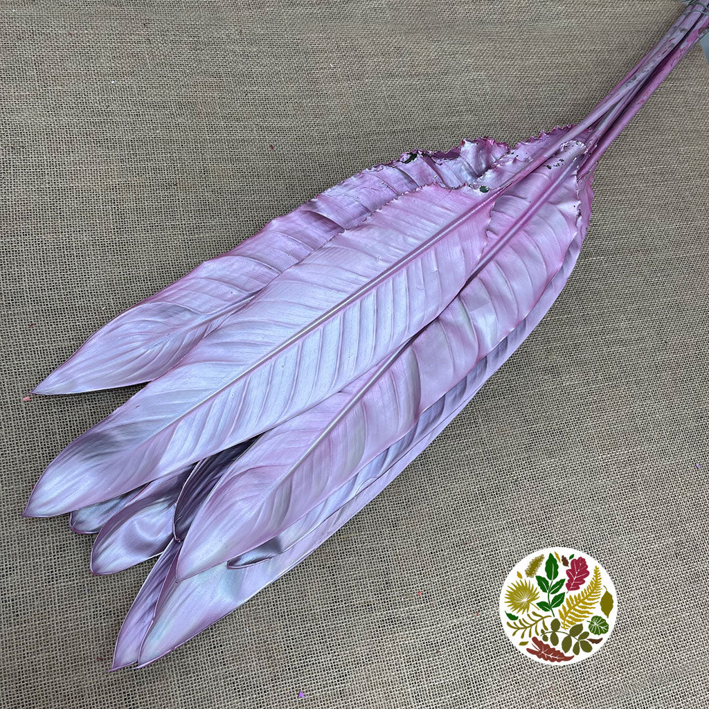 Strelitzia &#39;Leaves&#39; (Fresh) (Painted) (Various Colours) (x10)