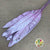 Strelitzia 'Leaves' Painted (Various Colours) (x10)