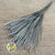 Grass 'Fluffy Silver Grass' (Various Colours) 70cm (DRY)