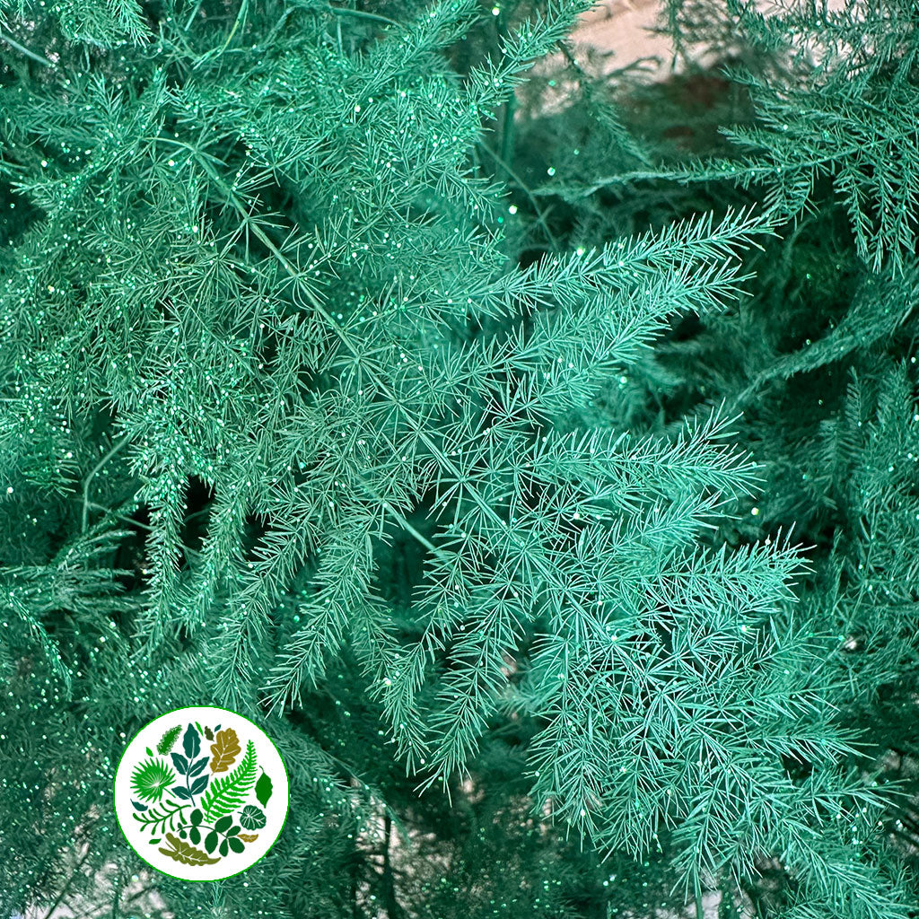 Fern 'Asparagus' (Painted/Glitter) 85cm (Various Colours) (x50)