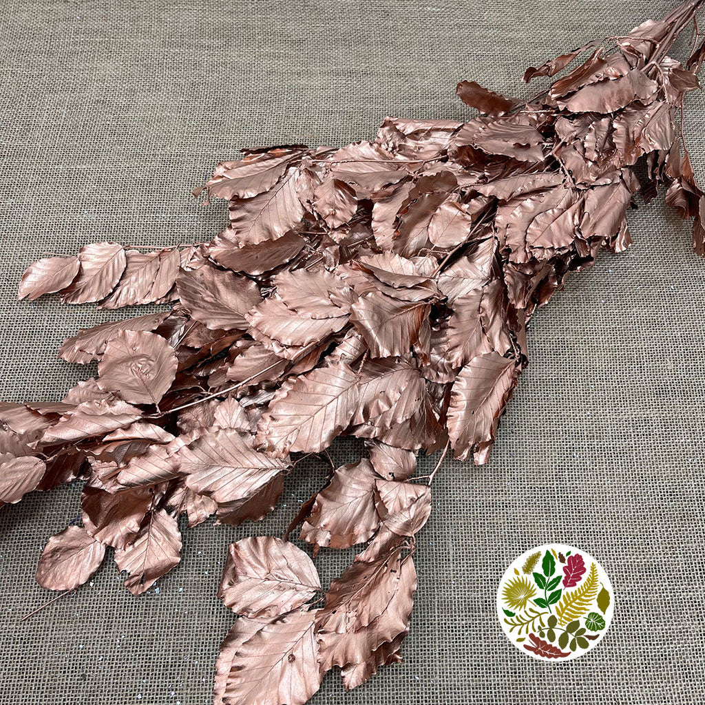 Beech &#39;Stabilised&#39; (Painted) (DRY) (Various Colours)