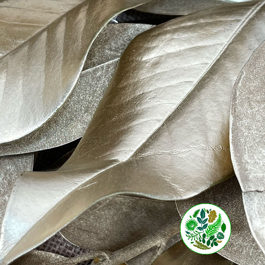 Magnolia &#39;Foliage&#39; (Painted Metallic) (Various Colours) 80cm (300g)