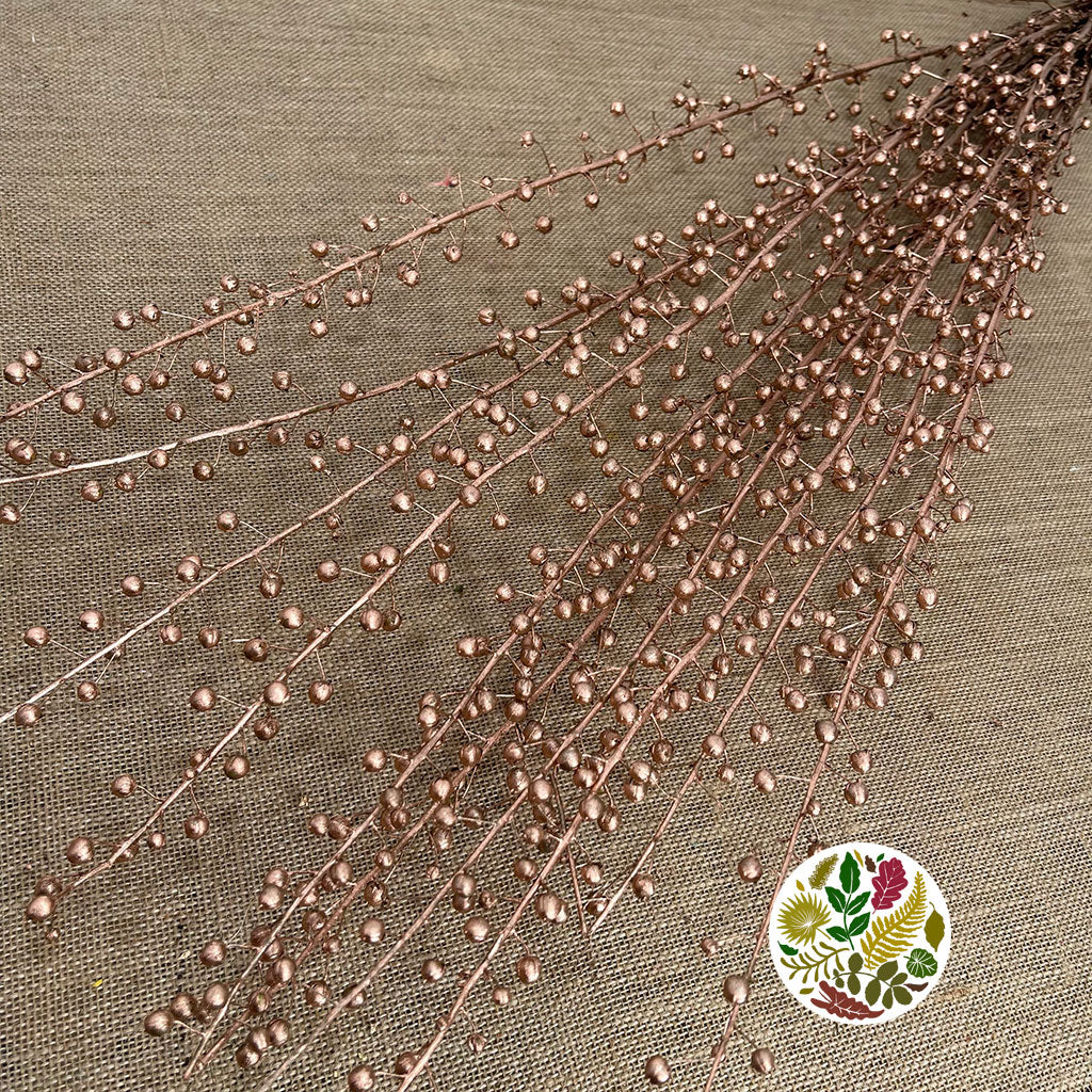 Scrotularia 'Berries' (Painted) (DRY) (Various Colours)