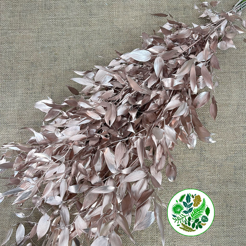 Ruscus &#39;Trailing&#39; Fresh (Painted Metallic Colours) (Various)