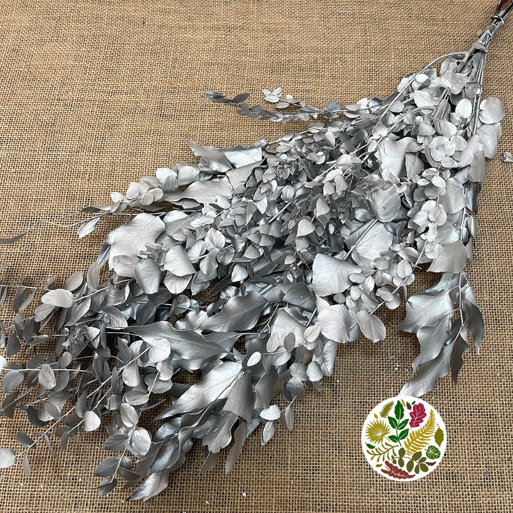 Eucalyptus 'Stuartiana' (Stabilised) (Painted) (DRY) (Various Colours)