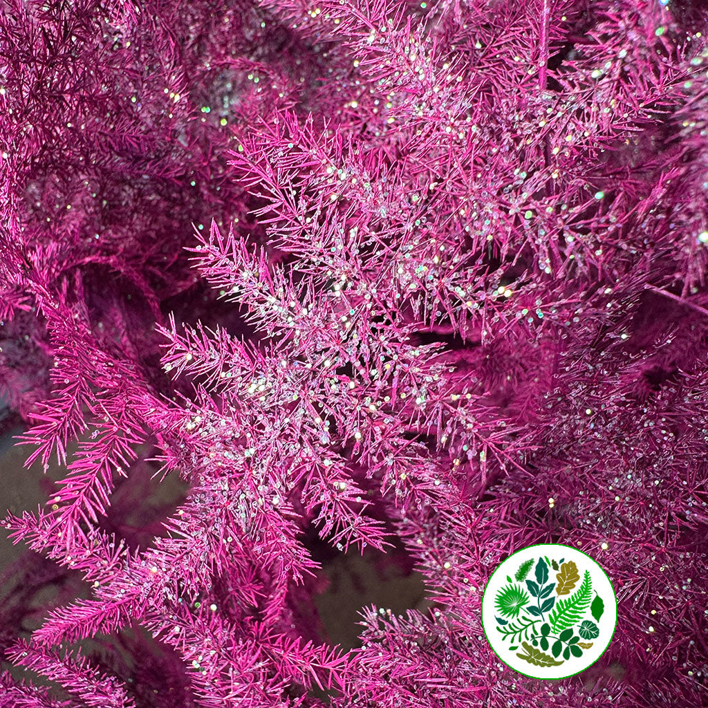 Fern 'Asparagus' (Painted/Glitter) 85cm (Various Colours) (x50)