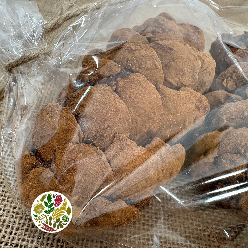 Cones 'Strobus' (Scented) (DRY) (Various Sizes)