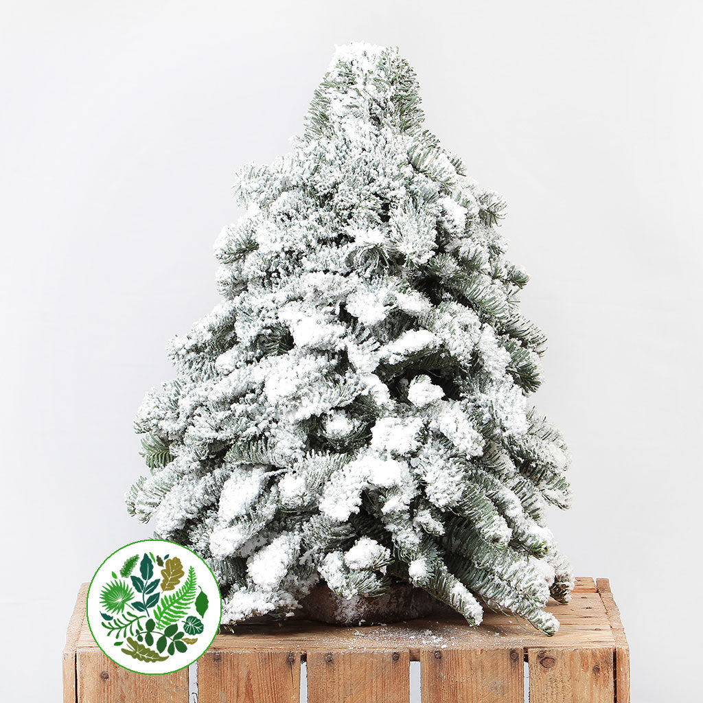 Christmas &#39;Trees&#39; Snow (Man made) (Various Sizes) x