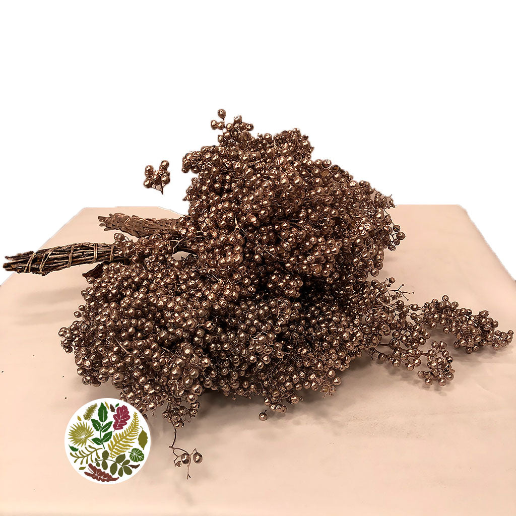 Schinus Molle Fruit (Painted) (DRY) (Various Colours)