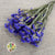 Statice 'Flower' (Various Colours) (DRY) 70cm