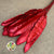 Strelitzia 'Leaves' Painted (Various Colours) (x10)