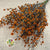 Stillingia Flowers DRY 'Various Colours' (x10)