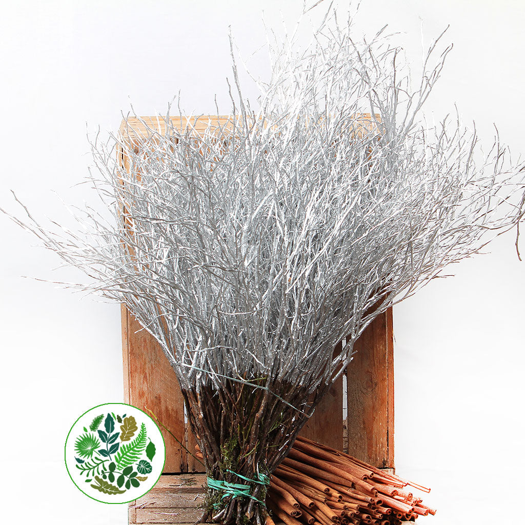 Bog Myrtle &#39;Painted or Glittered&#39; (Various Colours) (Bundle)