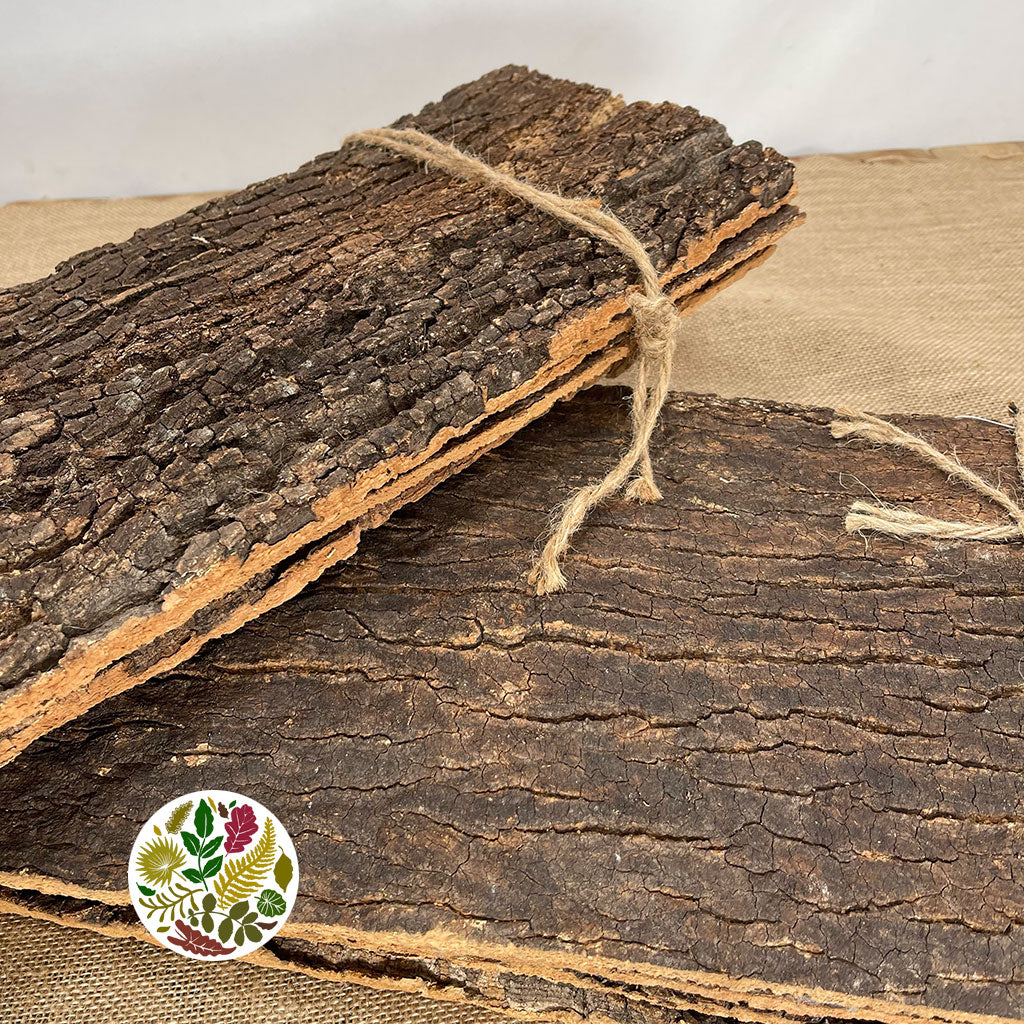Bark Strips &#39;Thick&#39; (Natural) (Various Sizes) (DRY)