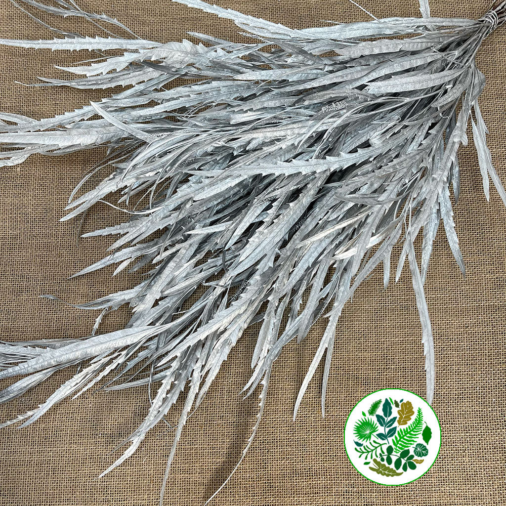 Grevillea 'Foliage' (Painted Metalic) (Various Colours) 80cm