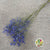 Gypsophila (Painted) (DRY) (Various Colours)