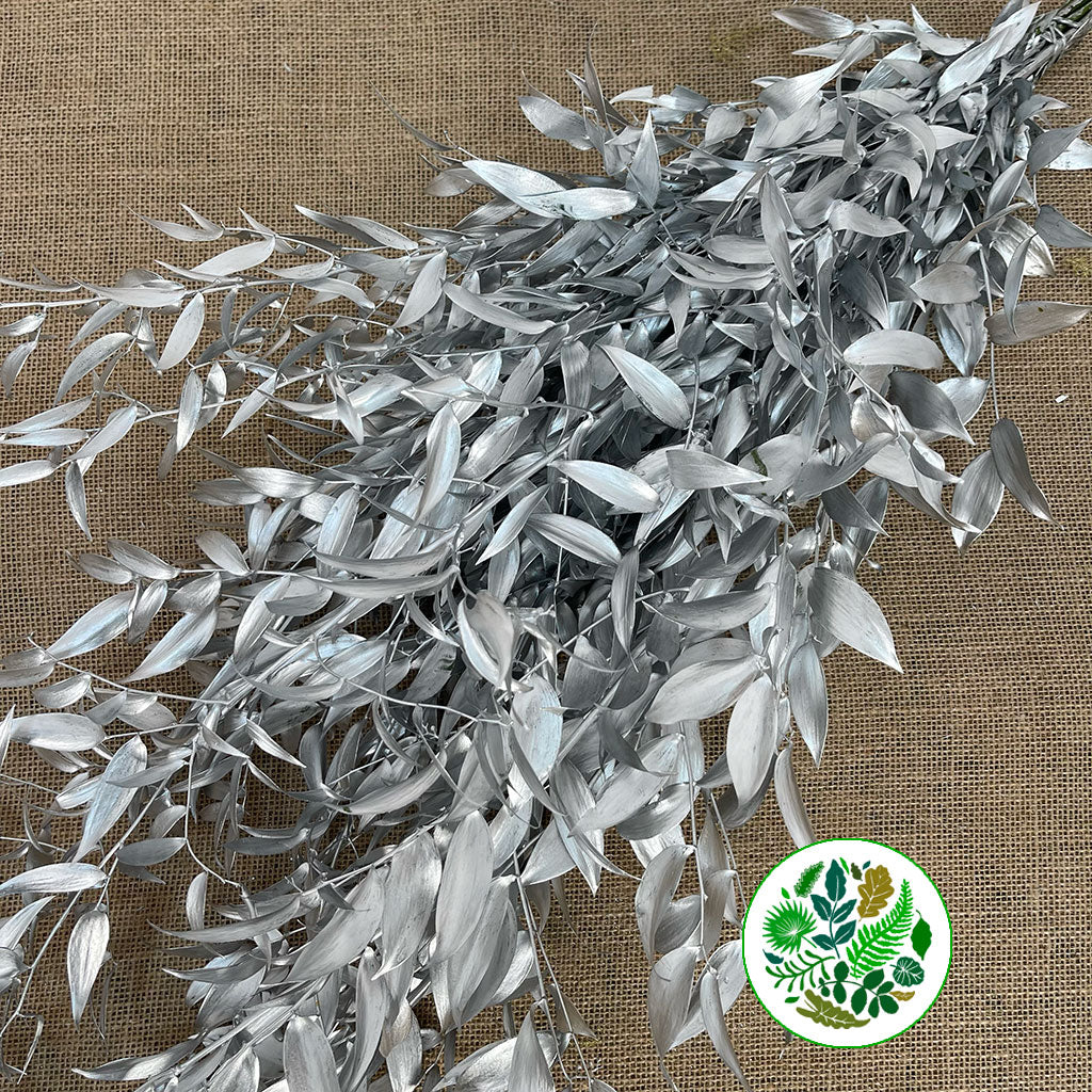 Ruscus 'Trailing' Fresh (Painted Metallic Colours) (Various)