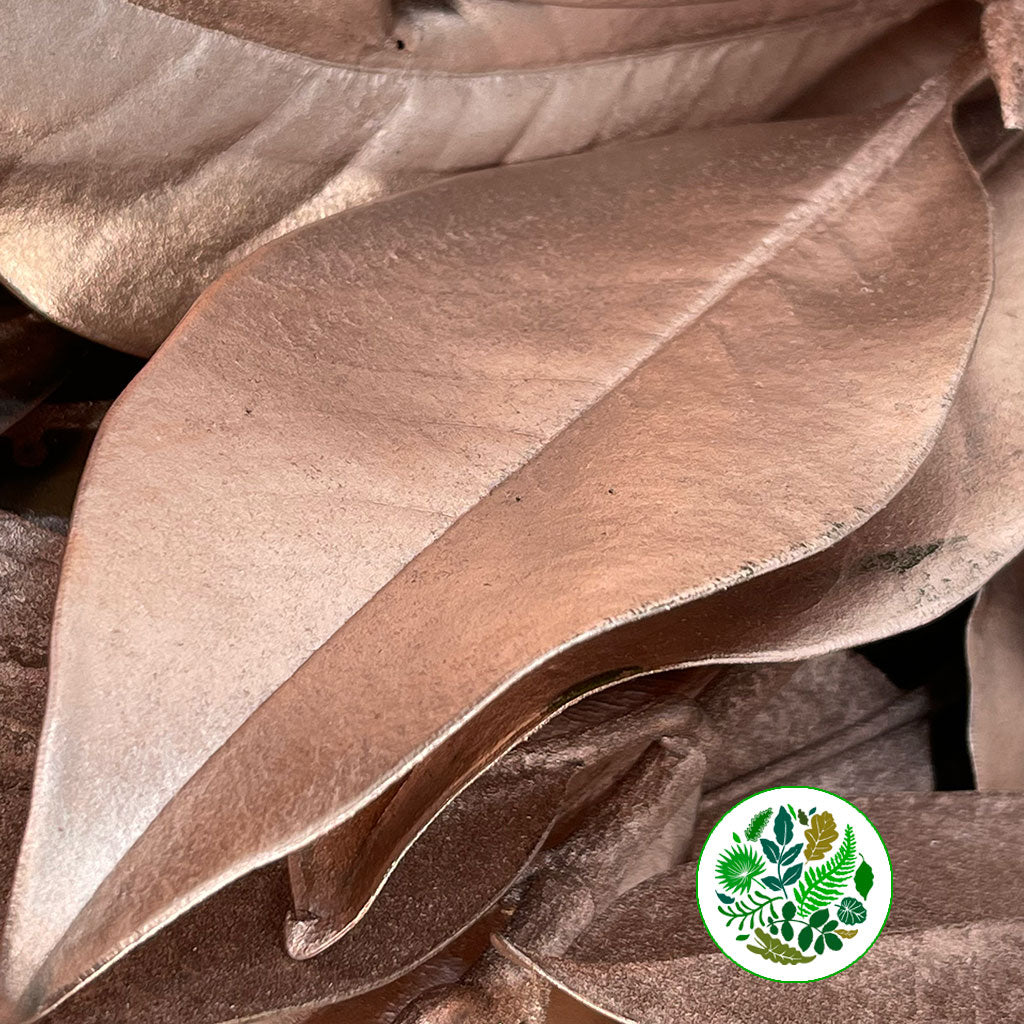 Magnolia &#39;Foliage&#39; (Painted Metallic) (Various Colours) 80cm (300g)