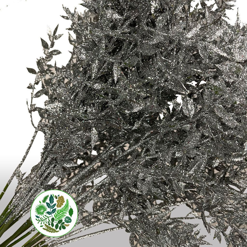 Ruscus &#39;Wild&#39; (Painted &amp; Glitter) (DRY) (x5)