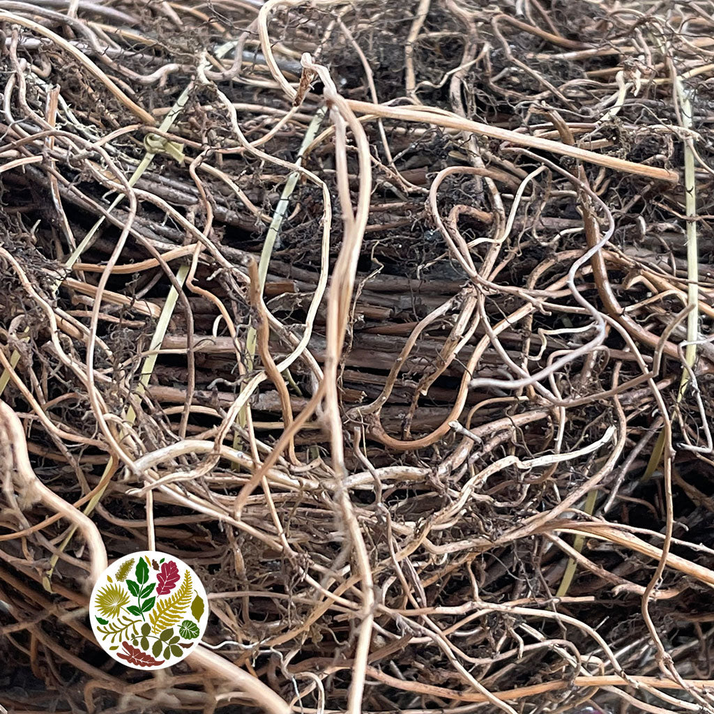 Wreath &#39;Fern Root&#39; (Natural) (DRY) (Various Sizes)