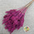 Grass 'Umbrella Heads' (Painted) (DRY) (Various Colours) (x10)