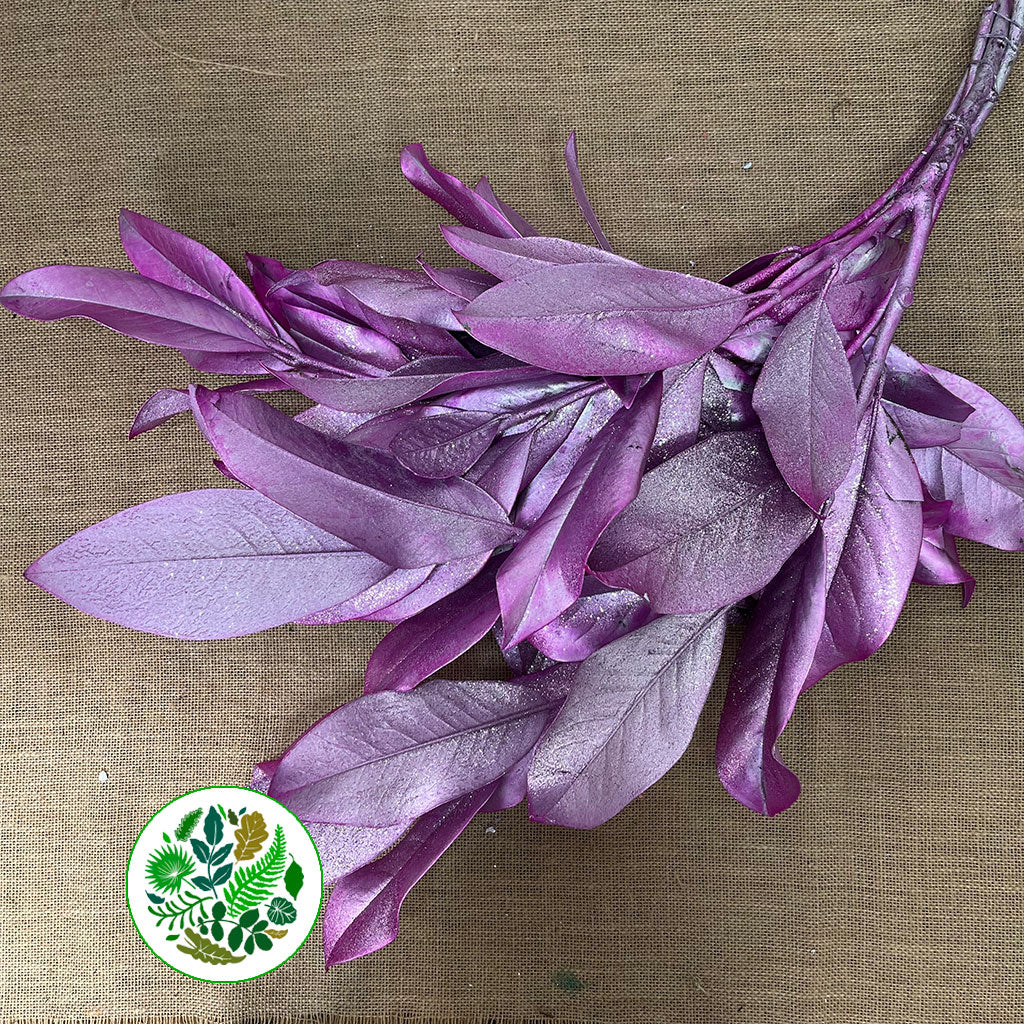 Magnolia &#39;Foliage&#39; (Painted + Glitter) (Various Colours) 80cm (400g)