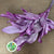 Magnolia 'Foliage' (Painted + Glitter) (Various Colours) 80cm (400g)