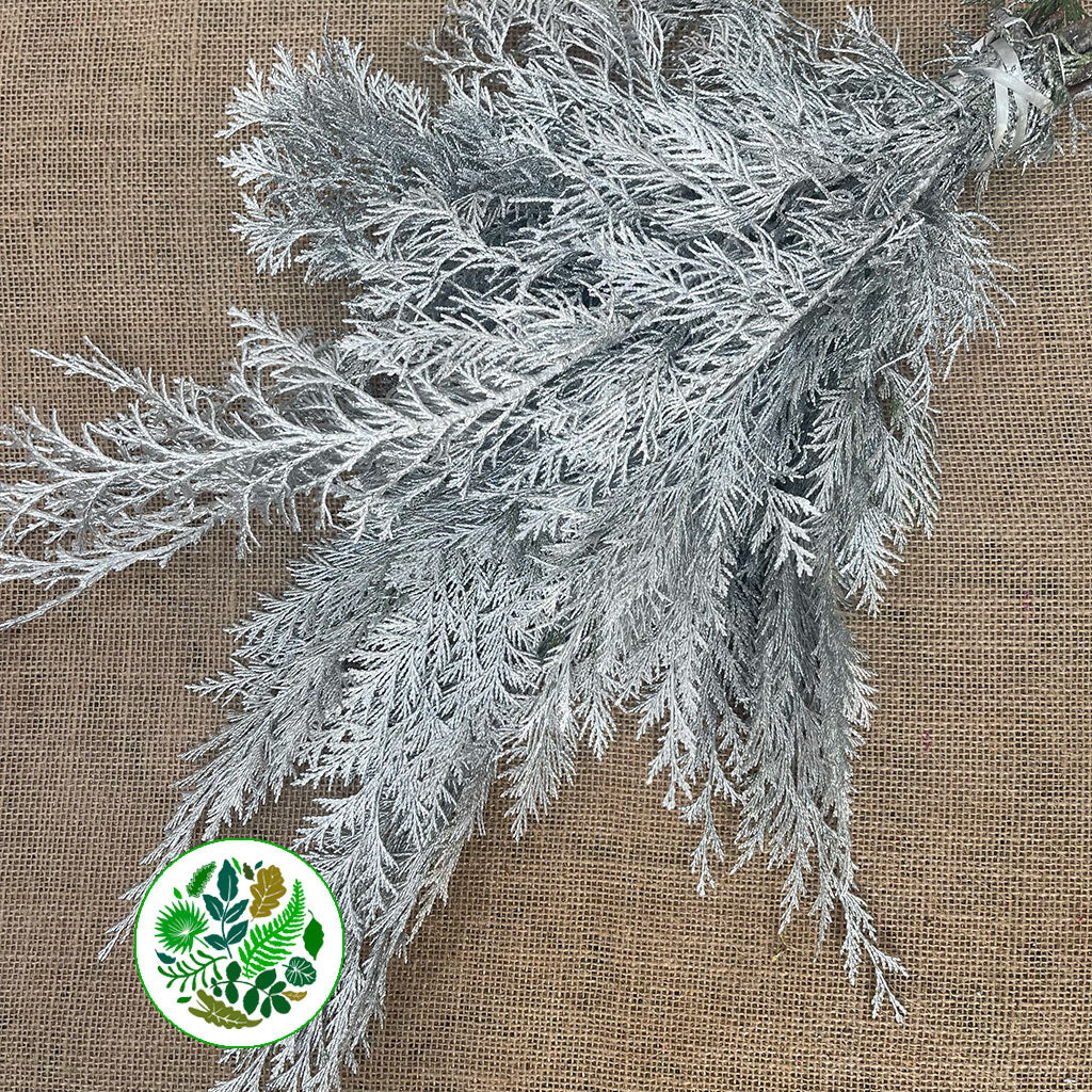 Conifer (Painted) (Various Colours)