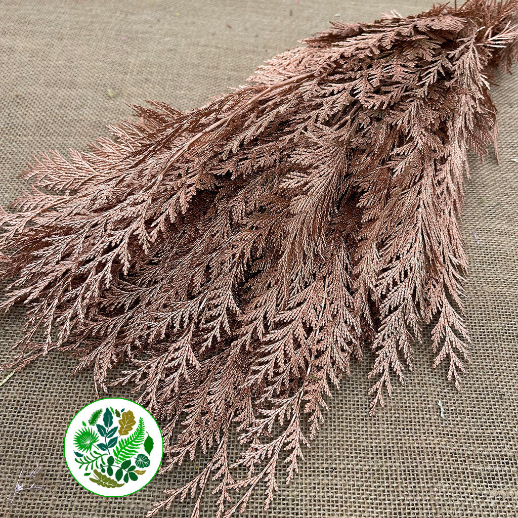 Conifer (Painted) (Various Colours)