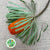 Protea 'Banksia' (Hookeri) (Orange) (Various Lengths)