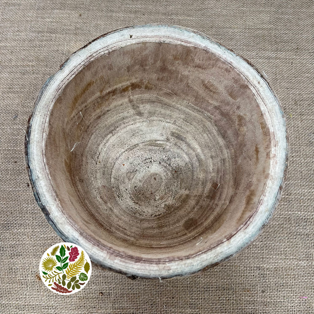 Bark Pot &#39;Ulmea&#39; (DRY) (Various Sizes)