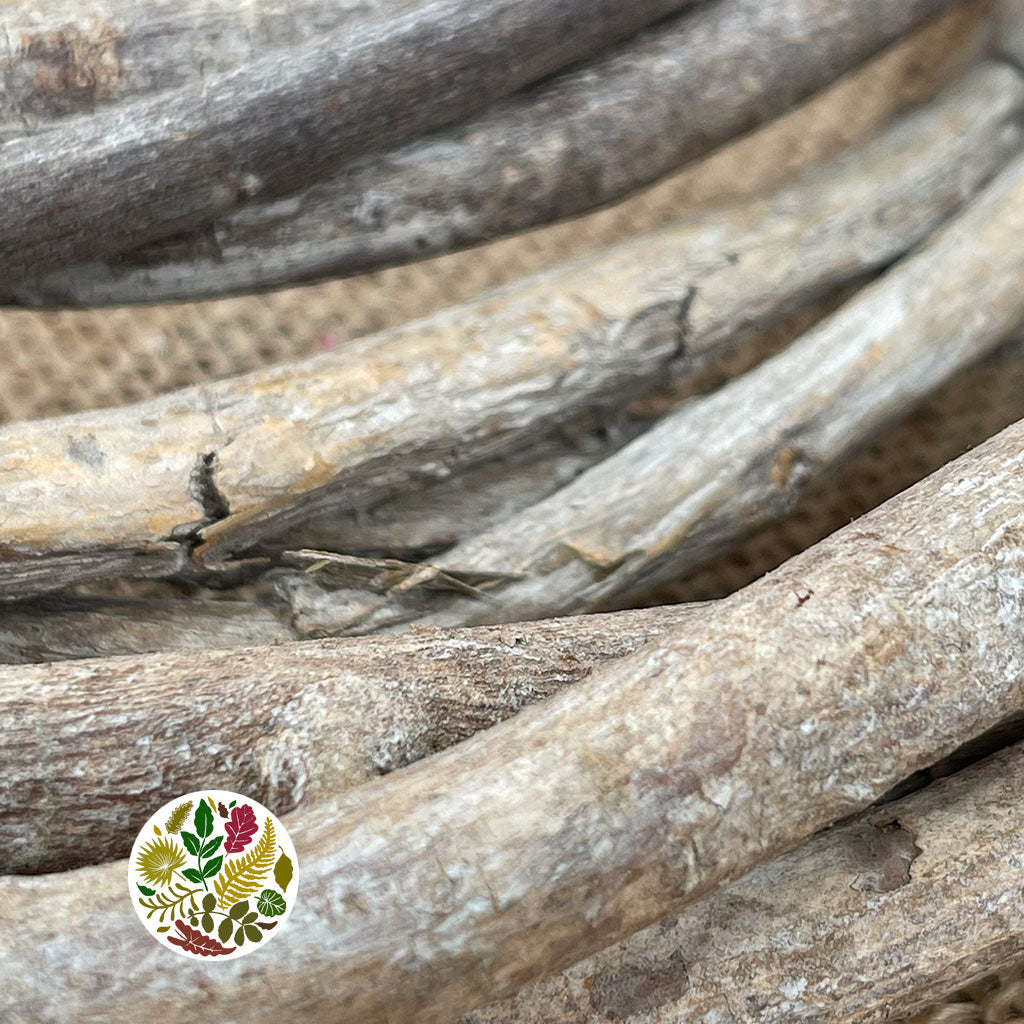 Wreath 'Twisted Vine' (Natural) (DRY)