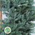 'Blue Pine' Wreaths (Various Sizes) (Metal Mossed Frames)