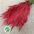 Conifer (Painted) (Various Colours)