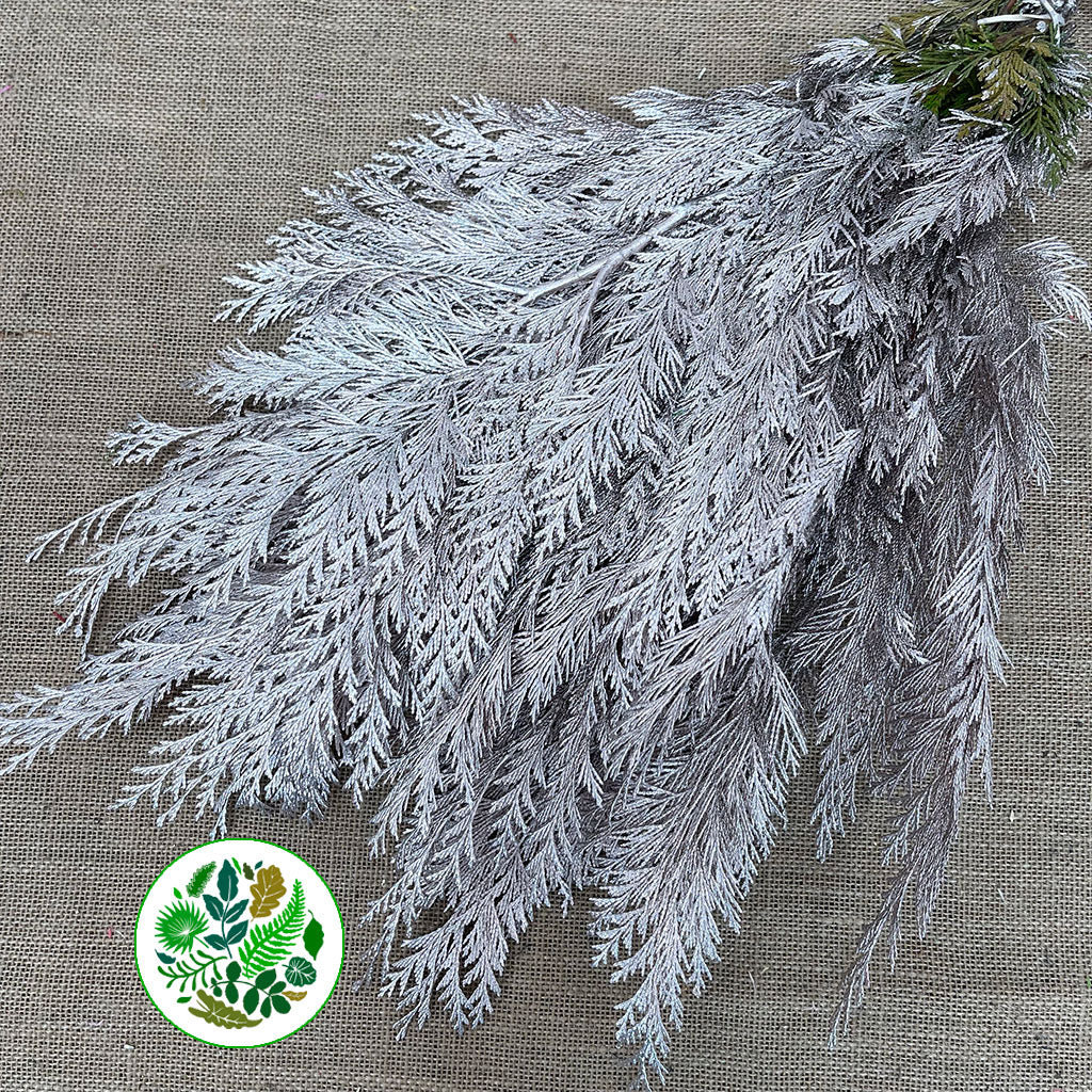 Conifer (Painted) (Various Colours)