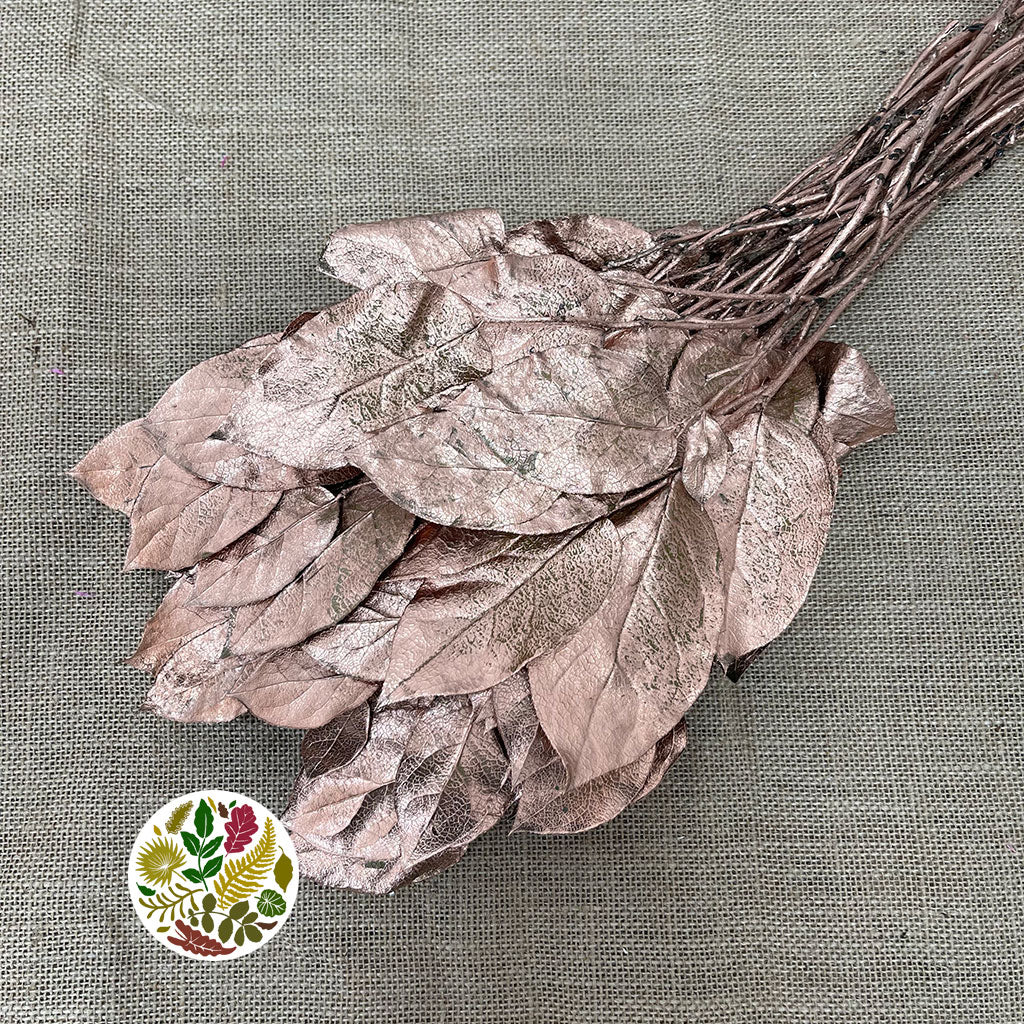 Salal (Painted) (DRY) (Various Colours) 50cm