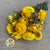 Helichrysum 'Flower' (DRY) (Various Colours) 50cm