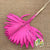 Palm 'Fan Palm' (Painted) (DRY) (Various Colours) (x5) 45-55cm