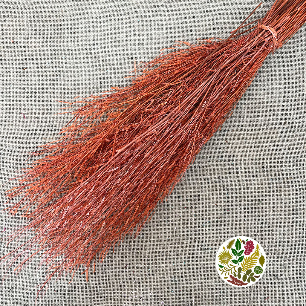 Grass 'Saras Grass' (Various Colours) (DRY) H100cm