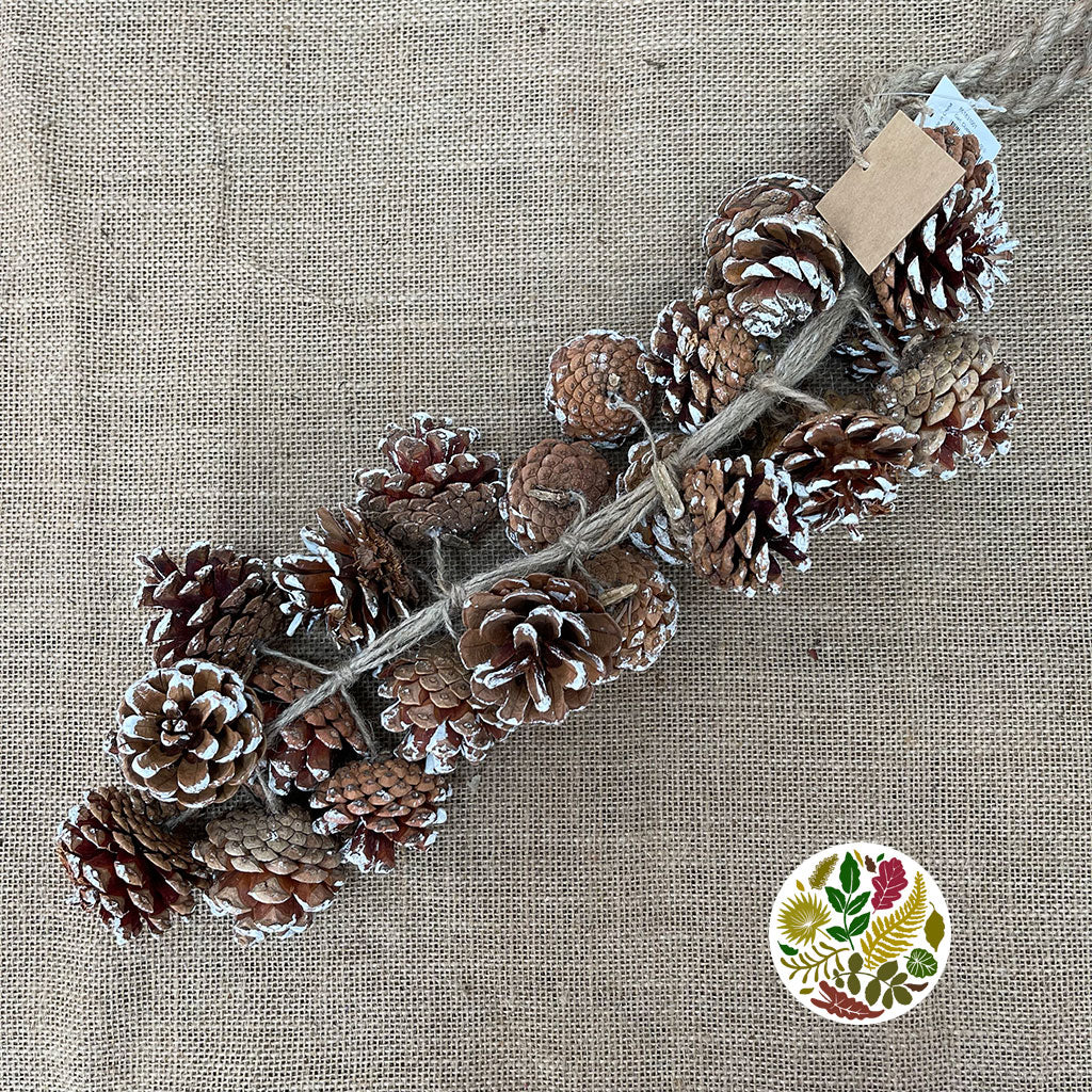 Garland 'Cone Cluster' (White Tip) (Painted) (DRY) (Various Sizes)