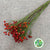 Rose Hips 'Sensational Fantasy' (Various Heights)