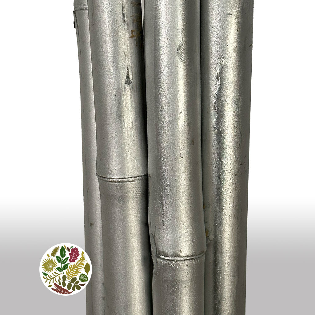 Bamboo 'Painted' (DRY) (Various Colours)