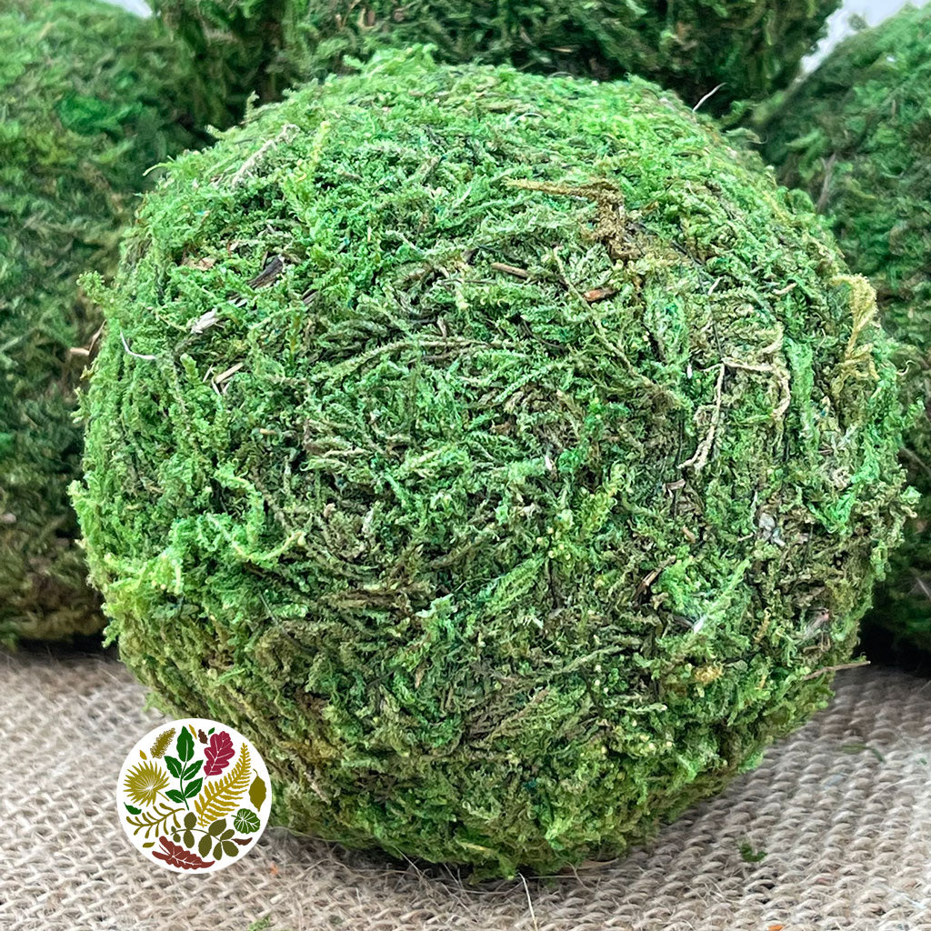 Moss &#39;Balls&#39; (DRY) (Various Sizes)