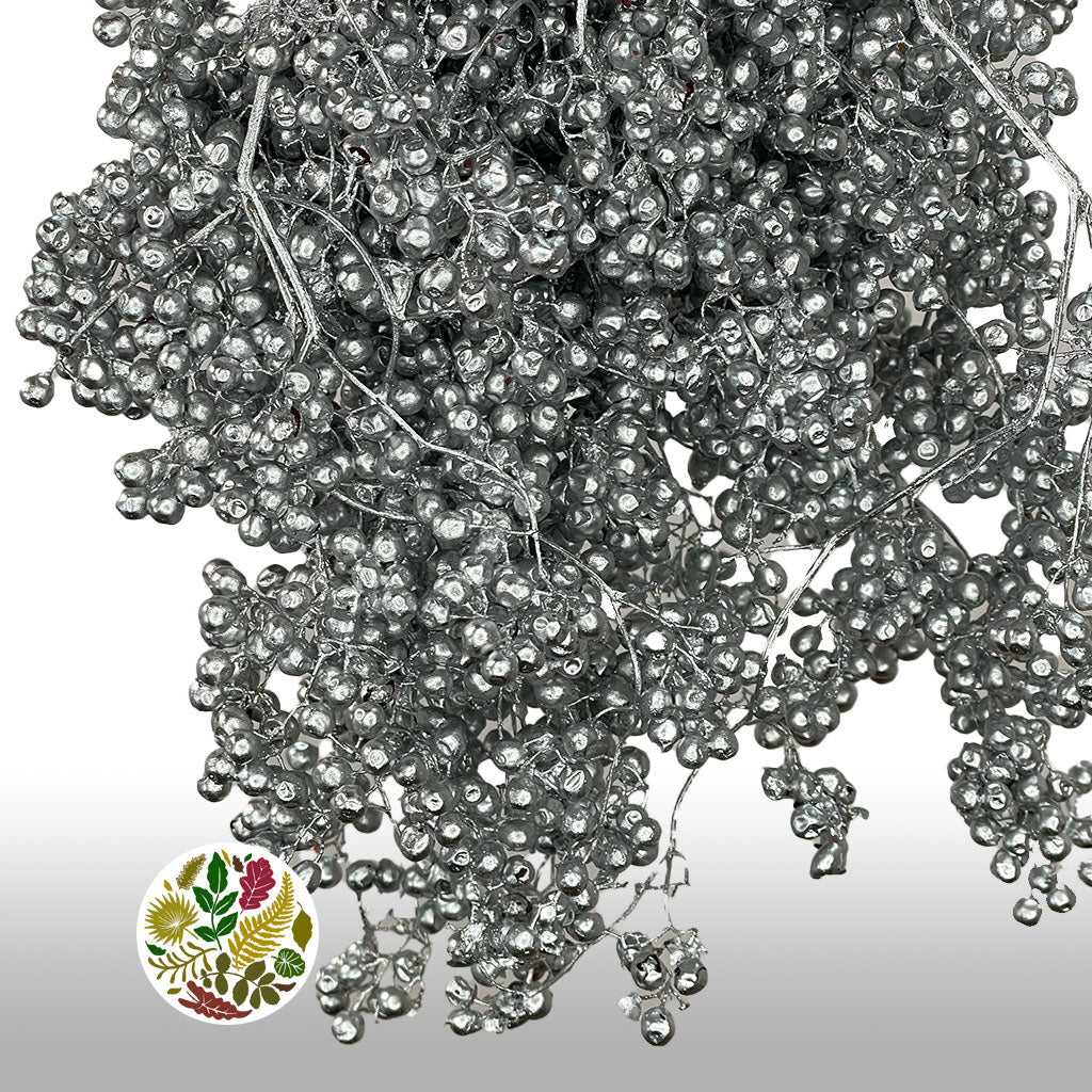 Schinus Molle Fruit (Painted) (DRY) (Various Colours)