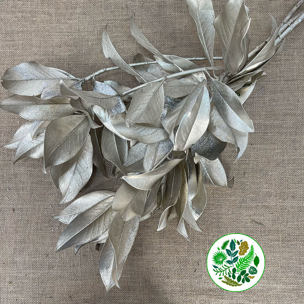 Magnolia &#39;Foliage&#39; (Painted + Glitter) (Various Colours) 80cm (400g)