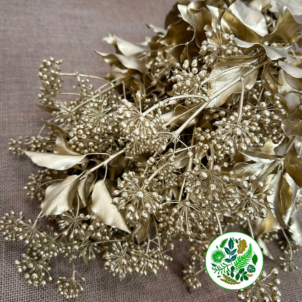 Ivy 'Berried' (Painted) (Various Colours) (300g)