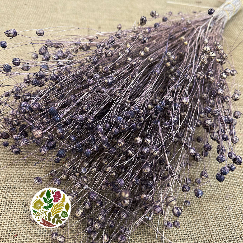 Grass 'Linen' (Coloured) DRY (Various Colours)