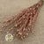 Poppy 'Heads' (Painted) (Small) (DRY) (Various Colours)