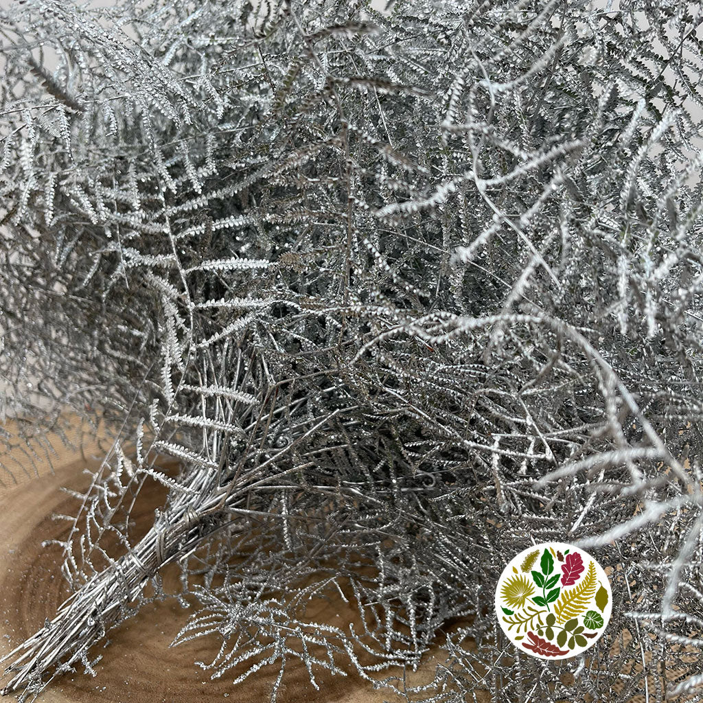 Fern 'Coral Fern' (Painted or Glittered) (x10)